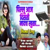 About Pillu Aaj Disati Naadch Khula Song